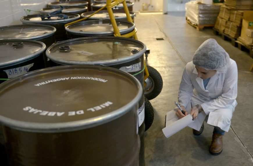 Exportaciones apícolas argentinas logran el mayor volumen de los últimos siete años