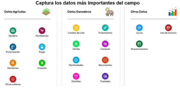 FieldData amplía su sistema de gestión por WhatsApp e integra la agricultura
