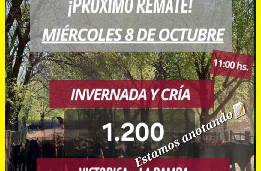 Remate feria Ganaderos de Elordi en Victorica La Pampa el 8 de octubre 2025 con 1200 animales de invernada y cría.