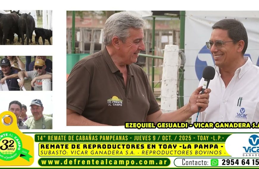 Ezequiel Gesualdi de Vicar Ganadera en entrevista tras 14° remate cabañas pampeanas en Toay