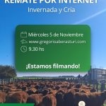 Gregorio Aberasturi SRL | Carhué (Buenos Aires) | Próximo Remate Feria el Miércoles 5 de Noviembre de 2025