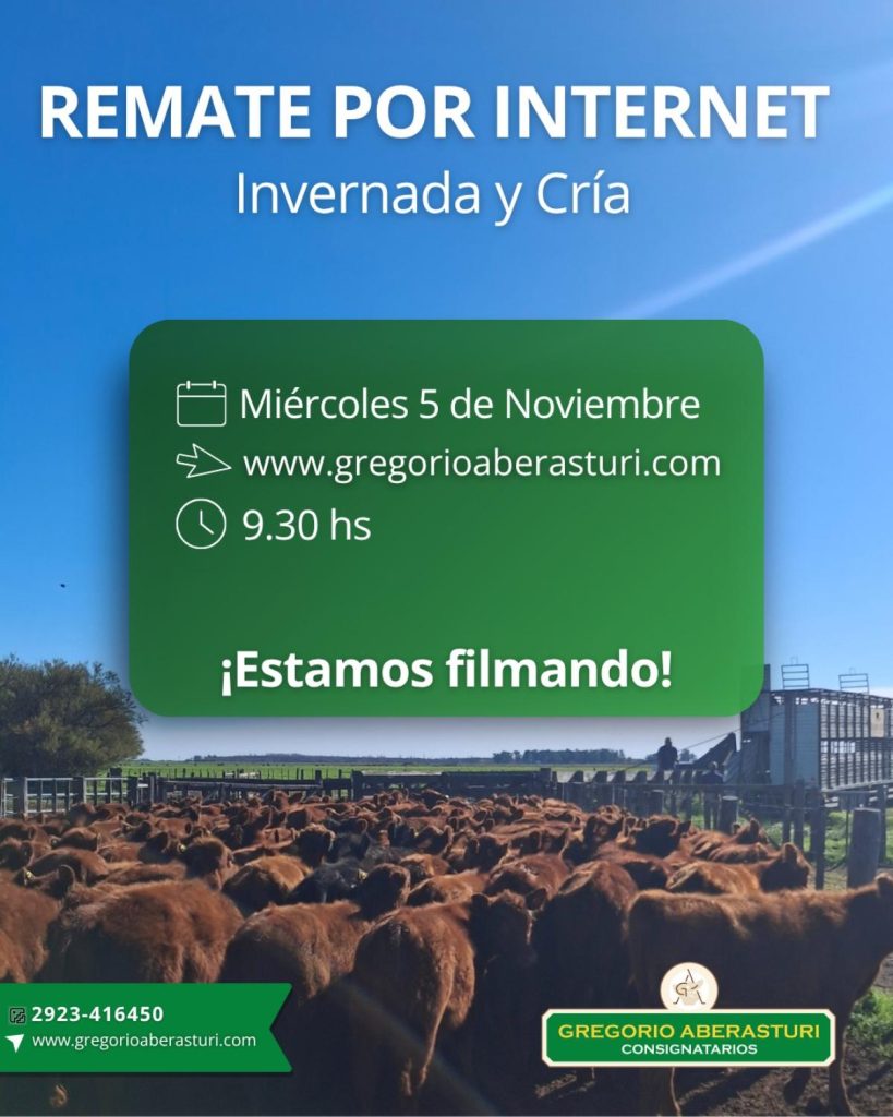 Remate feria Gregorio Aberasturi por internet de invernada y cría el 5 de noviembre 2025.
