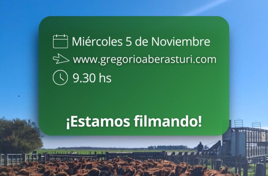 Remate feria Gregorio Aberasturi por internet de invernada y cría el 5 de noviembre 2025.