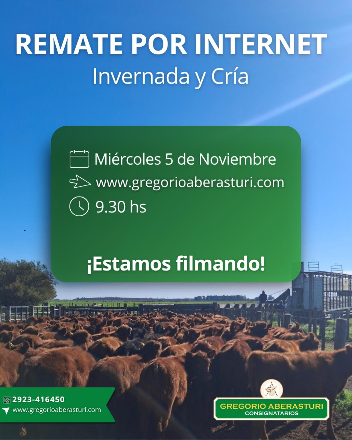 Remate feria Gregorio Aberasturi por internet de invernada y cría el 5 de noviembre 2025.