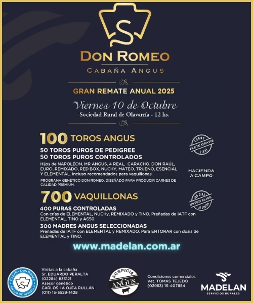 Remate feria Madelan en Olavarría el 10 de octubre 2025 con toros y vaquillonas Angus de Cabaña Don Romeo.