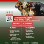 Madelan S.A. | Zaparinqui, Chaco | Próximo Remate Feria el miércoles 22 de octubre de 2025