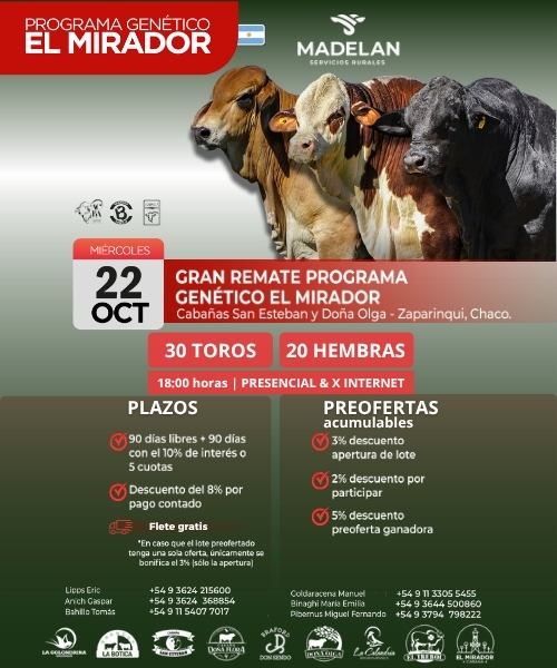 Gran remate feria Madelan en Zaparinqui Chaco 22 octubre 2025 con 30 toros y 20 hembras.