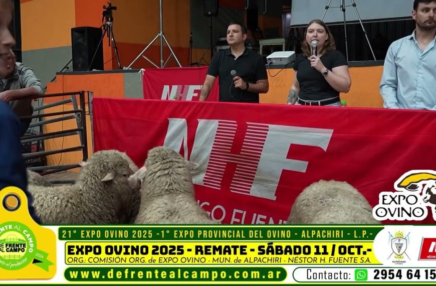 Personal de la consignataria Néstor Hugo Fuentes S.A. durante el remate de corderas en la 21ª Expo Ovino Alpachiri 2025 en La Pampa.