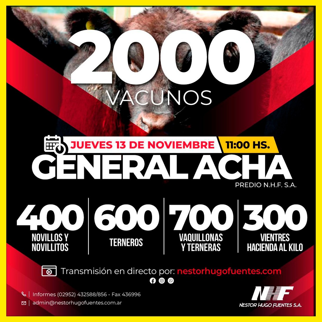 Néstor Hugo Fuentes S.A. | General Acha | Próximo Remate Feria el jueves 13 de noviembre de 2025