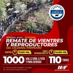 Néstor Hugo Fuentes S.A. | General Acha | Próximo Remate Feria el miércoles 22 de octubre de 2025