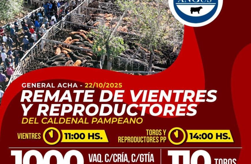 Remate feria Néstor Hugo Fuentes en General Acha el 22 de octubre de 2025 con 1000 vientres y 110 toros.
