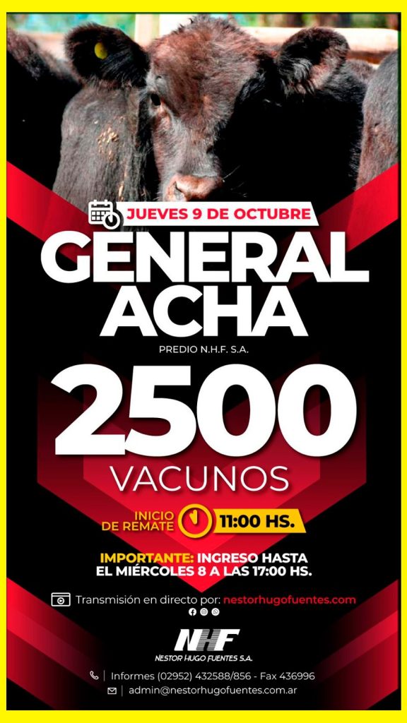 Remate feria Néstor Hugo Fuentes en General Acha con 2500 vacunos el 9 de octubre de 2025.