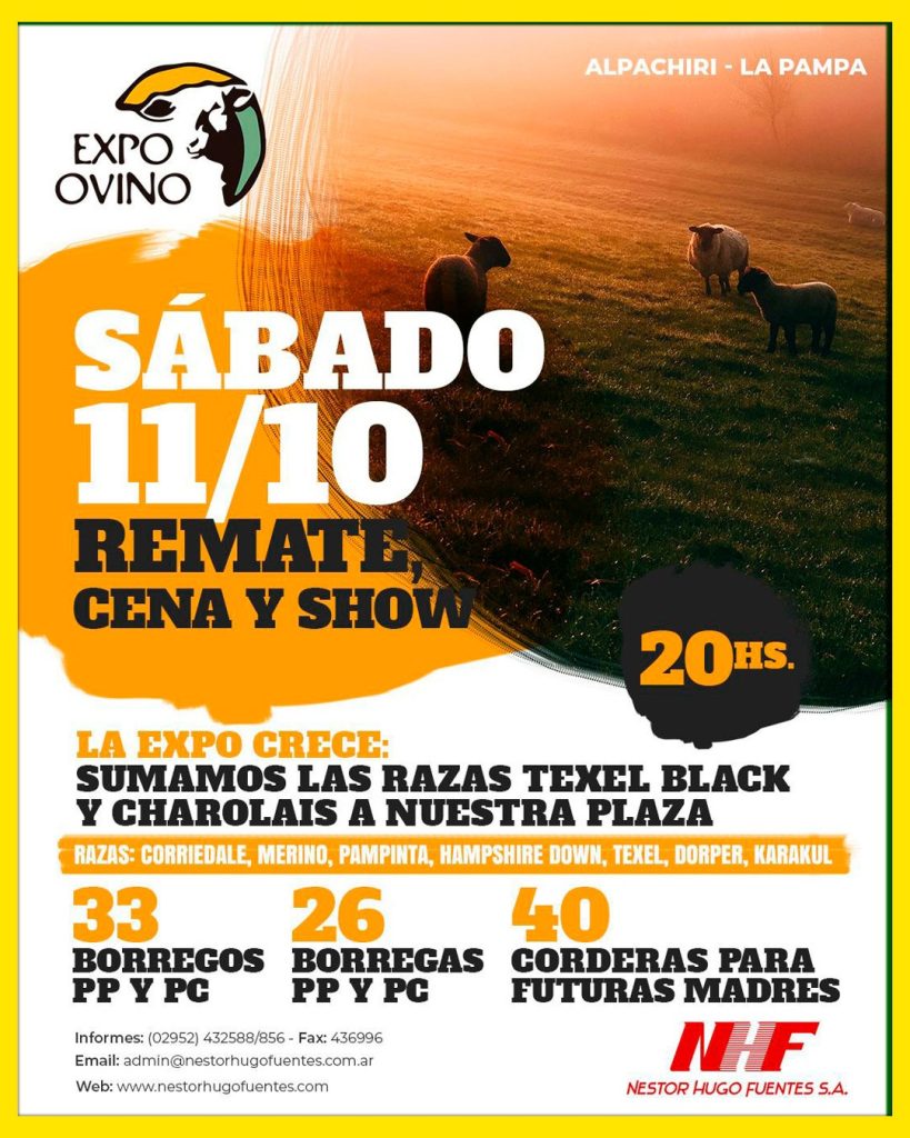 Remate feria ovina de Néstor Hugo Fuentes S.A. en Alpachiri, La Pampa el 11 de octubre de 2025.