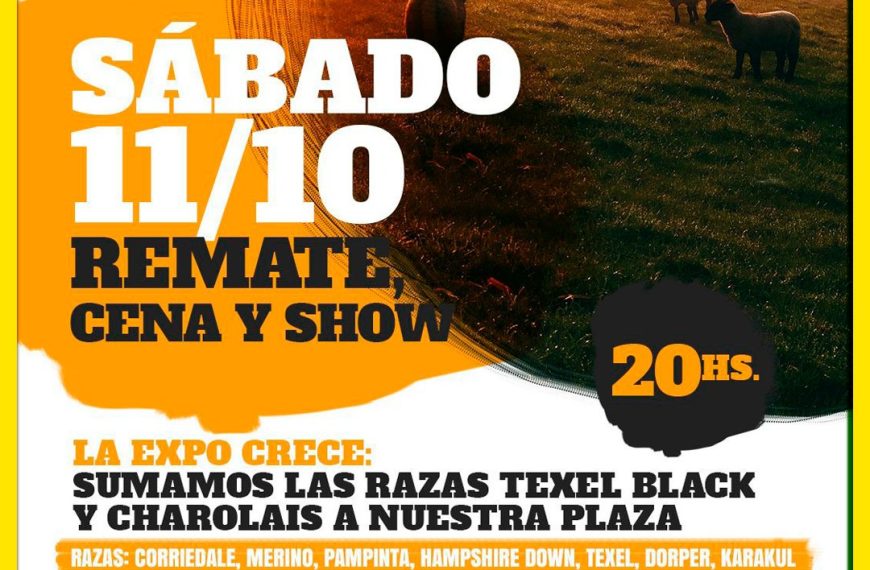 Remate feria ovina de Néstor Hugo Fuentes S.A. en Alpachiri, La Pampa el 11 de octubre de 2025.