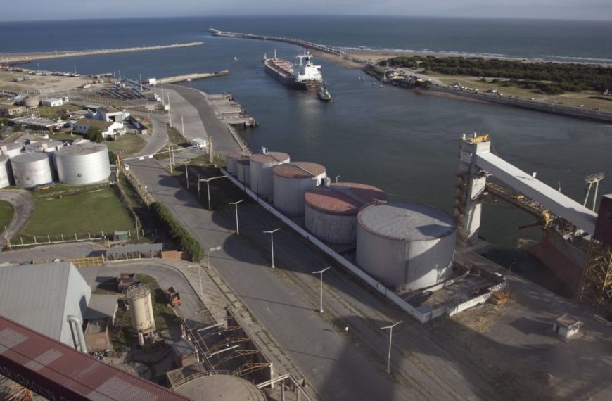 Terminal portuaria con silos y buque carguero, vinculada al marco regulatorio del SENASA que regula exportaciones.