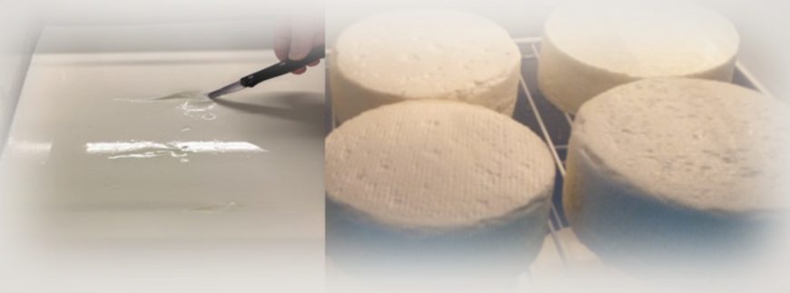 Quesos artesanales I — Aspectos básicos para su elaboración