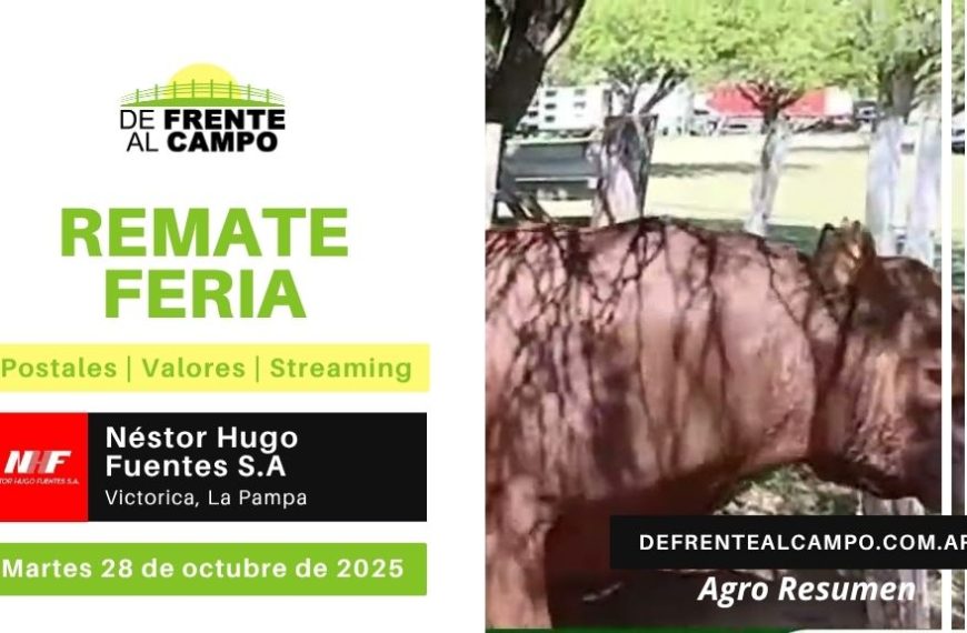 Remate Feria de Néstor Hugo Fuentes S.A. | Victorica | Martes 28/10/2025
