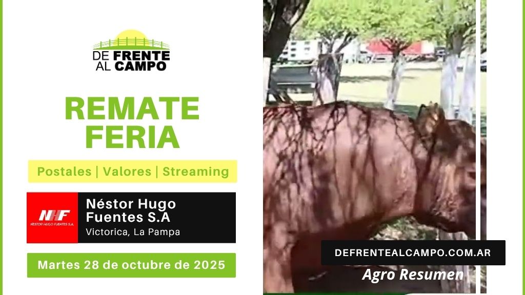 Remate Feria de Néstor Hugo Fuentes S.A. | Victorica | 28/10/2025