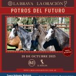 Saenz Valiente, Bullrich | El Rincón (Bs. As.) | Próximo Remate Feria el lunes 20 de octubre de 2025