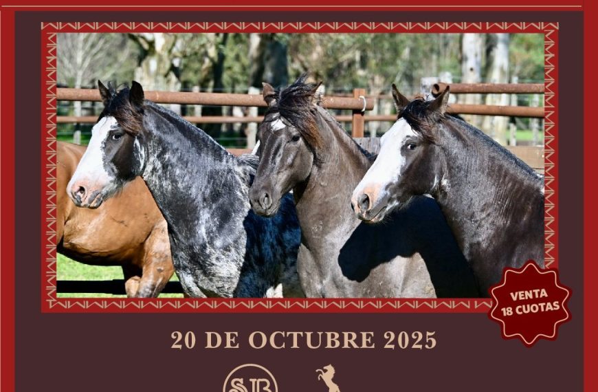 Remate feria Saenz Valiente Bullrich Potros del Futuro 20 octubre 2025