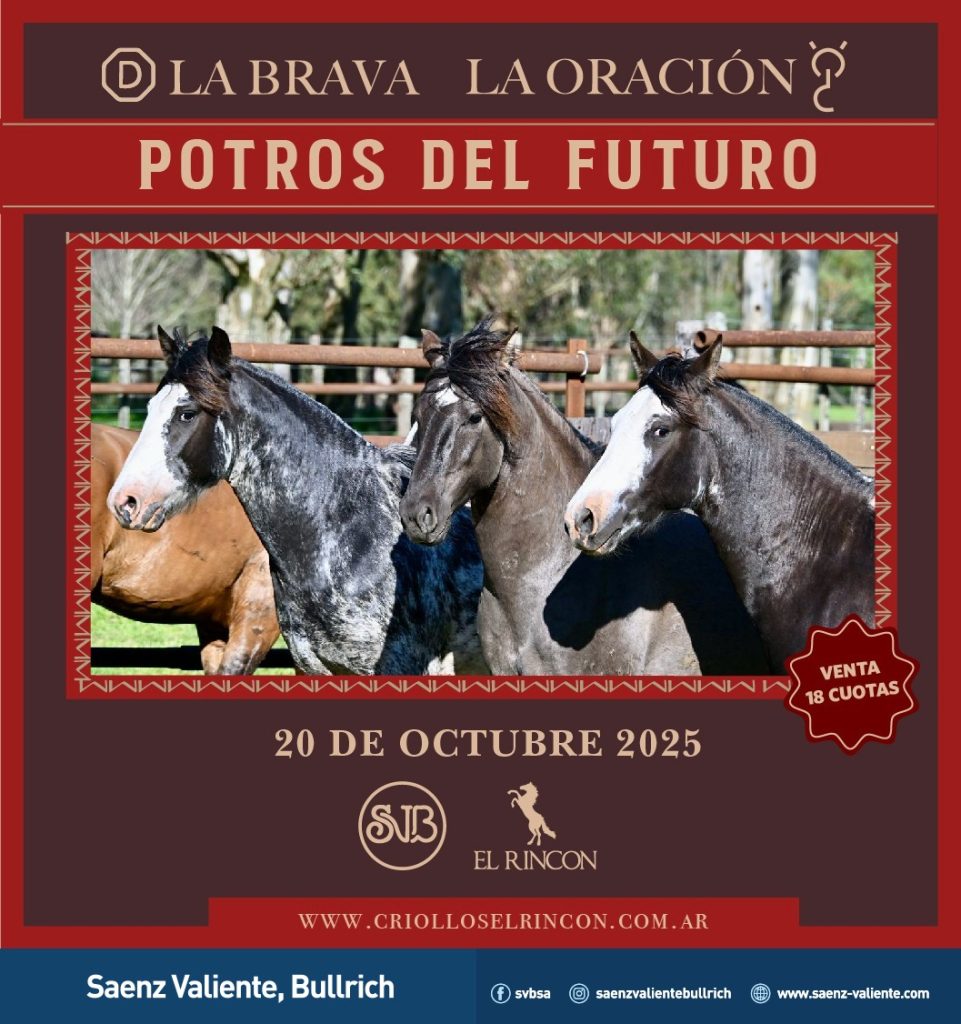Remate feria Saenz Valiente Bullrich Potros del Futuro 20 octubre 2025