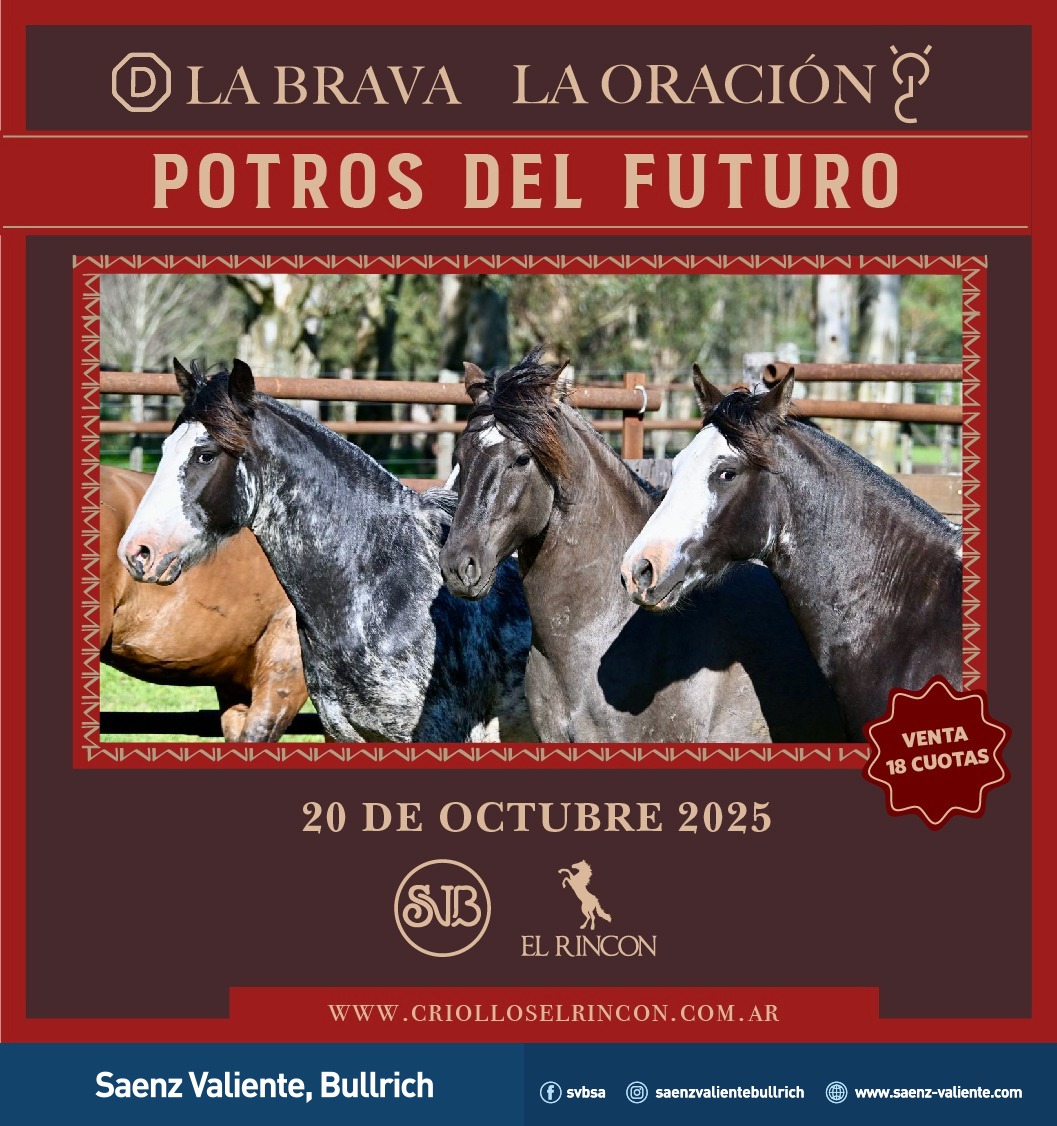 Remate feria Saenz Valiente Bullrich Potros del Futuro 20 octubre 2025