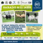 Saenz Valiente, Bullrich | Loma Verde (Buenos Aires) | Próximo Remate Feria el sábado 8 de noviembre de 2025