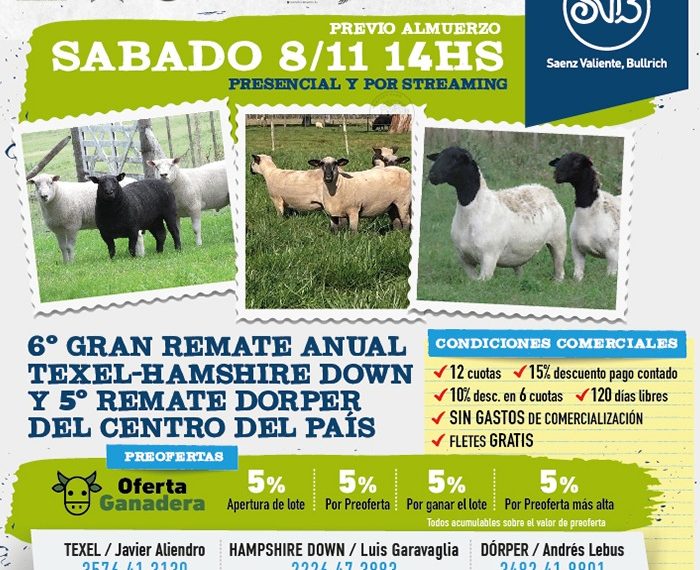 Remate feria Saenz Valiente Bullrich en Loma Verde el 8 de noviembre 2025 con ovinos Texel, Hampshire Down y Dorper.