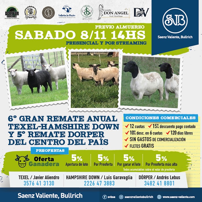 Remate feria Saenz Valiente Bullrich en Loma Verde el 8 de noviembre 2025 con ovinos Texel, Hampshire Down y Dorper.