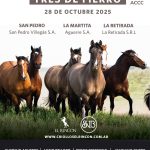 Saenz Valiente, Bullrich | Buenos Aires | Próximo Remate Feria el martes 28 de octubre de 2025