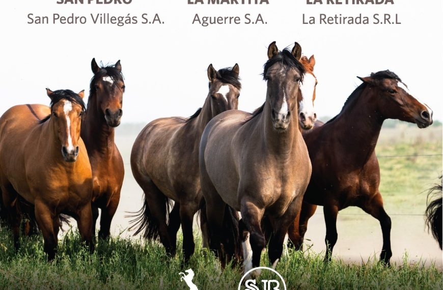 Cartel del 6º remate feria Tres de Fierro 2025 de Saenz Valiente Bullrich en Buenos Aires.