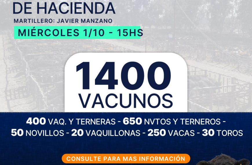 Afiche remate feria coop sanmartin 1oct: 1.400 vacunos en General San Martín, La Pampa, miércoles 1/10 a las 15hs