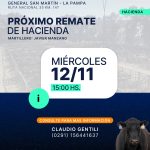 Sociedad Cooperativa Agrícola Ganadera Ltda. | General San Martín | Próximo Remate Feria el Miércoles 12 de noviembre de 2025