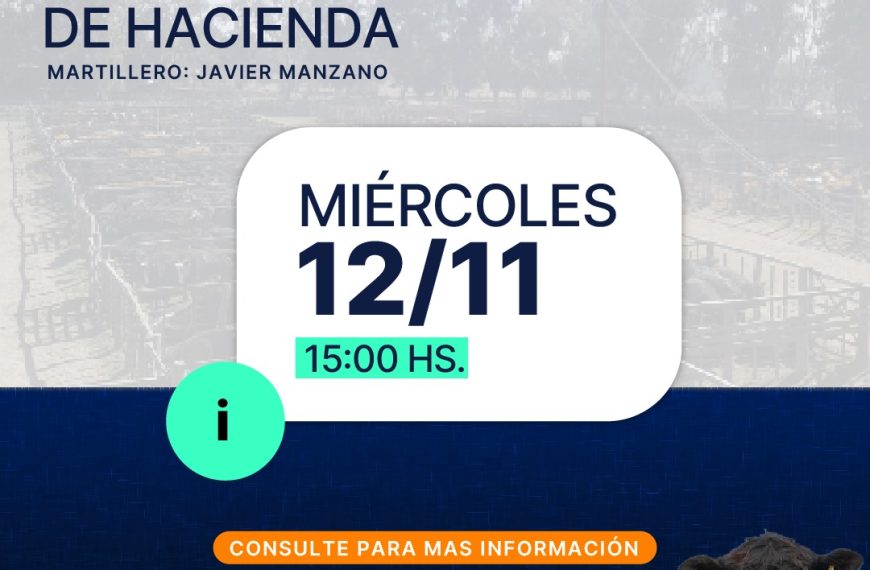 Remate feria coop sanmartin 12-11-2025: próximo remate de hacienda en General San Martín, La Pampa, miércoles 12/11 a las 15:00 hs.