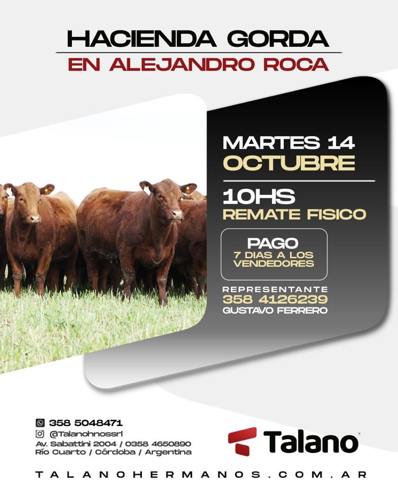 remate feria talano alejandroroca 14 octubre 2025 - hacienda gorda, remate físico 10hs