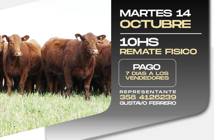remate feria talano alejandroroca 14 octubre 2025 - hacienda gorda, remate físico 10hs