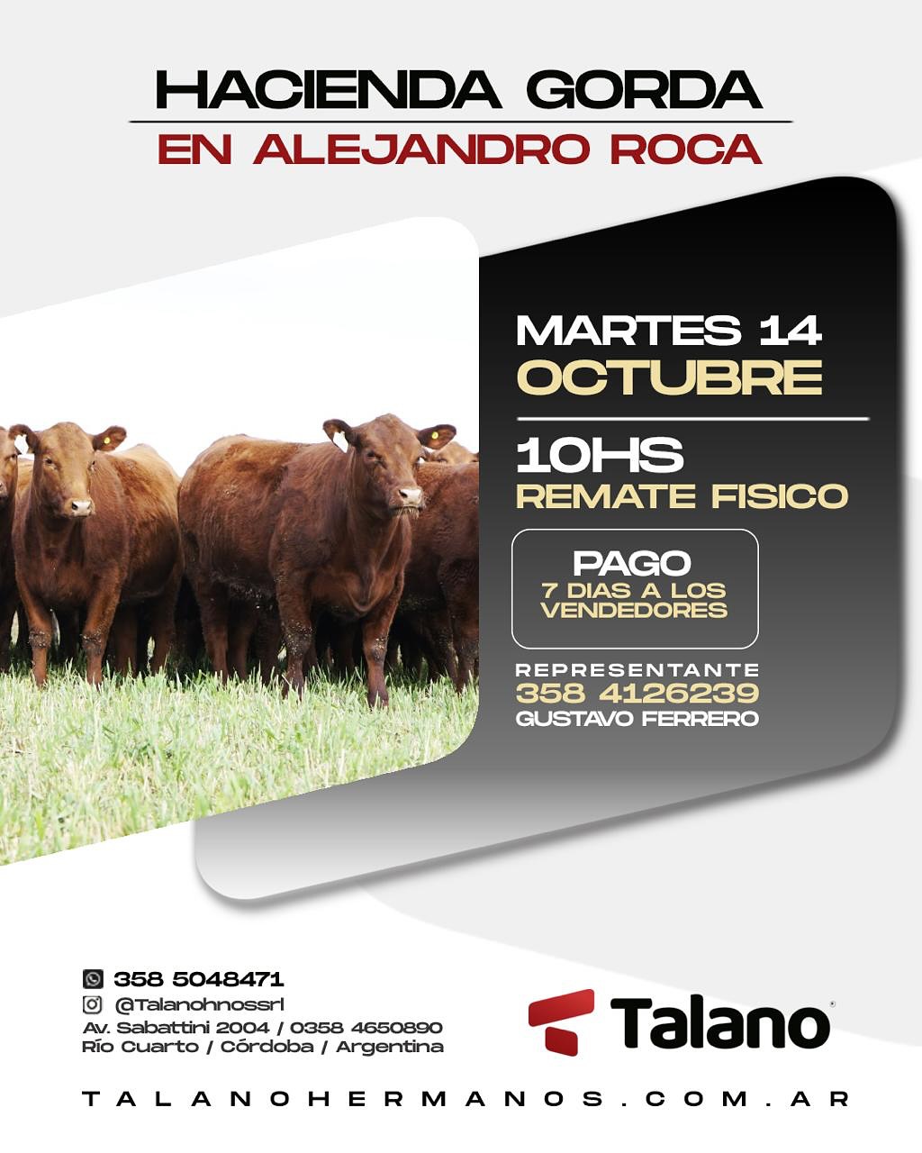 remate feria talano alejandroroca 14 octubre 2025 - hacienda gorda, remate físico 10hs