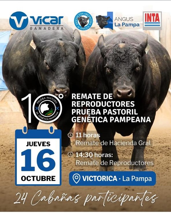 Remate feria Vicar Ganadera en Victorica La Pampa el 16 de octubre 2025