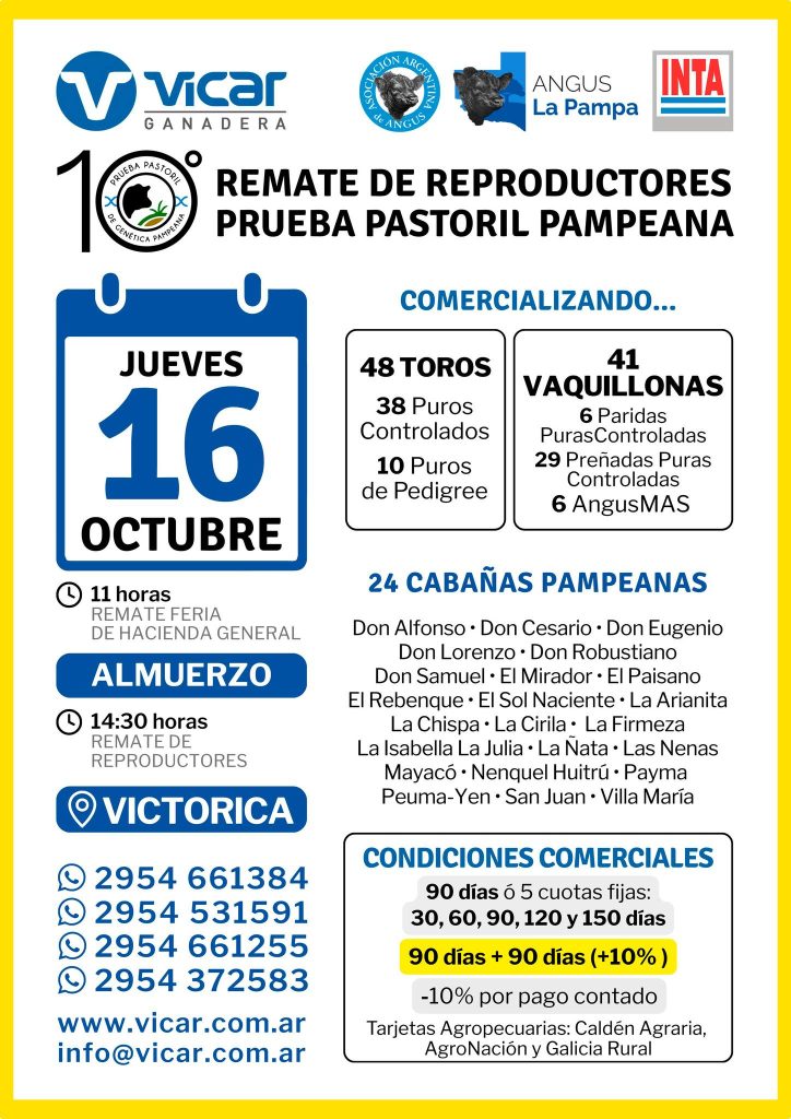 Remate feria Vicar Ganadera en Victorica con toros y vaquillonas el 16 de octubre de 2025.