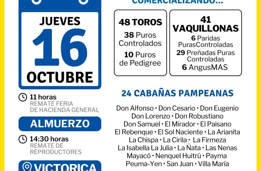 Remate feria Vicar Ganadera en Victorica con toros y vaquillonas el 16 de octubre de 2025.