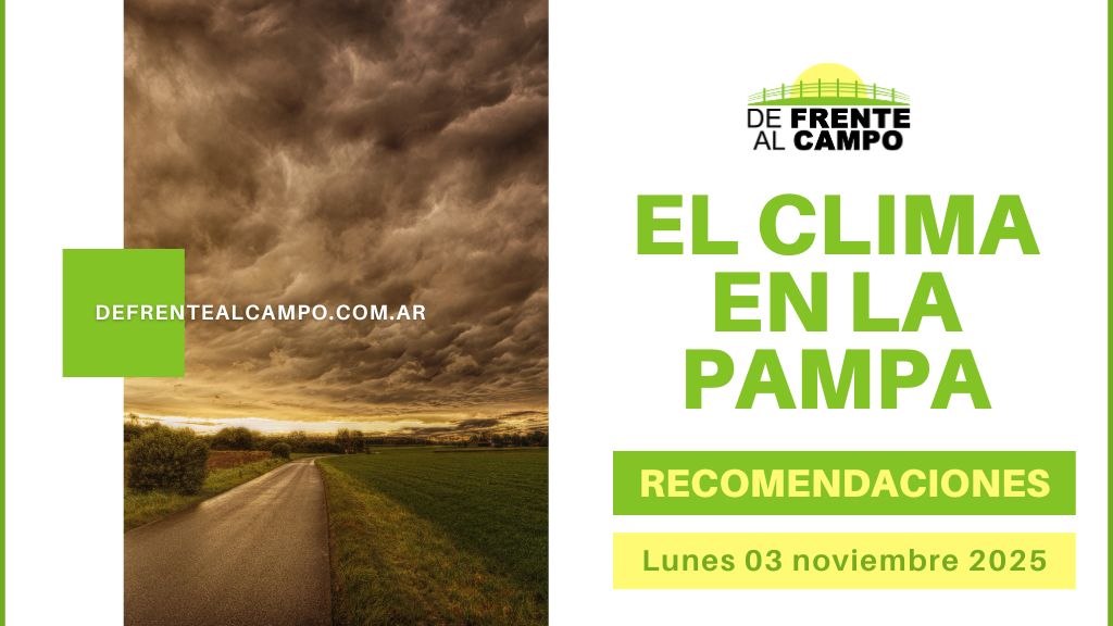 Alerta amarilla en La Pampa: hasta 31 °C y tormentas eléctricas hacia la noche — Pronóstico del tiempo La Pampa hoy (Lunes 03 de noviembre 2025)