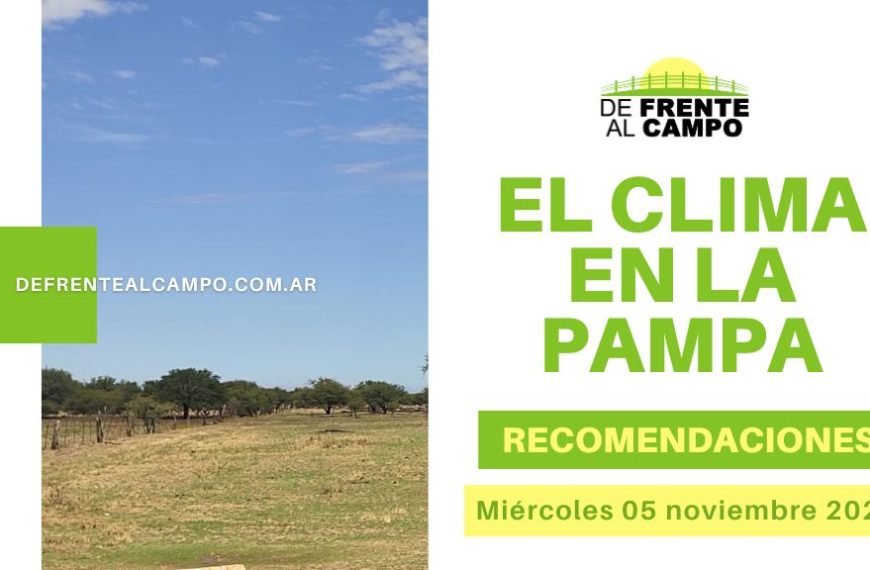 Cartel "EL CLIMA EN LA PAMPA" y logo "De Frente al Campo" sobre foto de campo pampeano con cielo azul.
