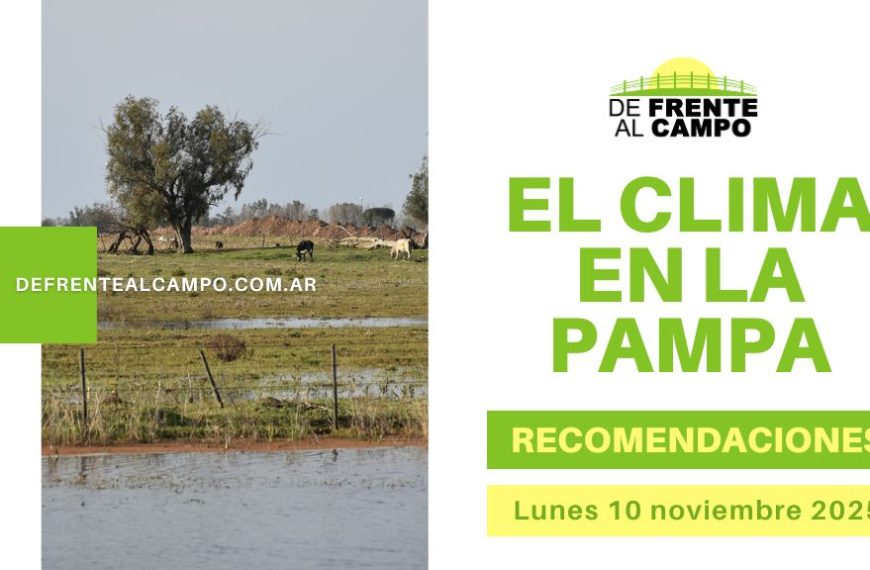 Campo pampeano con pastizal anegado y vacas pastando bajo un árbol — Pronóstico La Pampa hoy, paisaje rural inundado.