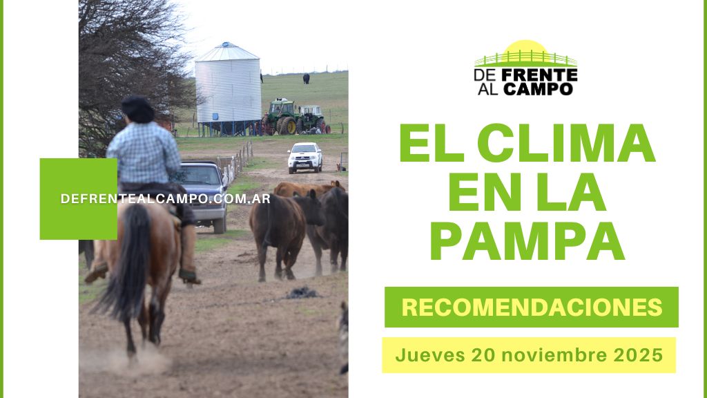 Ráfagas de hasta 72 km/h y cielo cerrado: Pronóstico del tiempo La Pampa hoy con 8 °C / 30 °C (Jueves 20 de noviembre 2025)