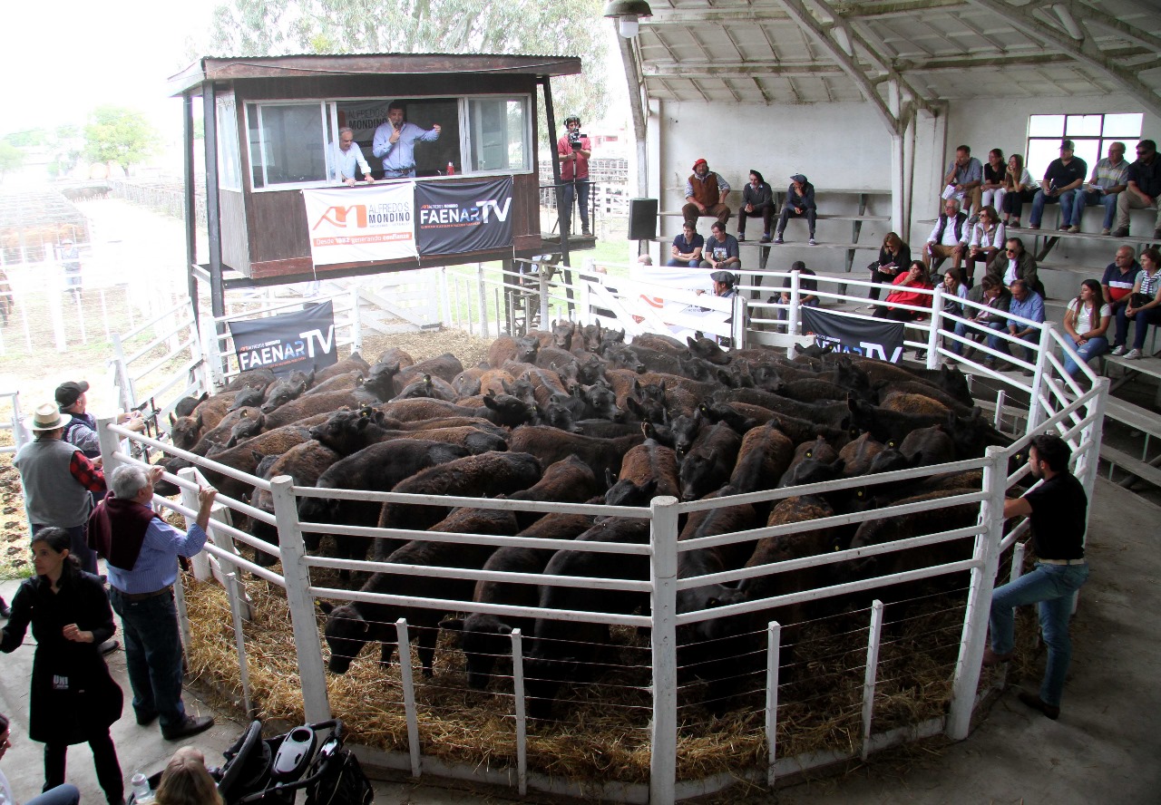 Rústicos se hace Destete de Primavera en Tres Arroyos