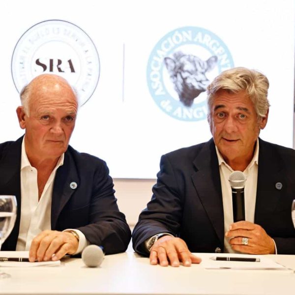 La Sociedad Rural y Angus avanzan en un acuerdo marco para integrar la gestión y registración de reproductores