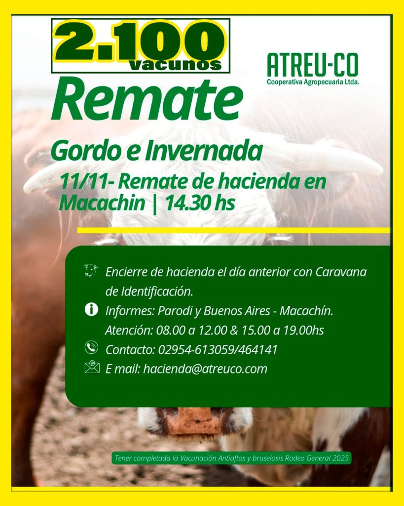 Remate feria ATREU-CO con 2.100 vacunos en Macachín el 11 de noviembre 2025