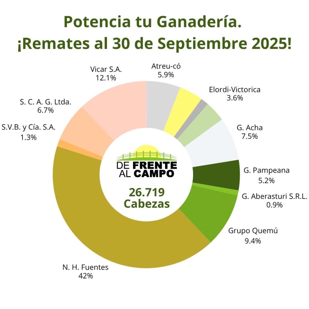 Distribución de remates feria septiembre 2025 por consignataria en La Pampa – De Frente al Campo