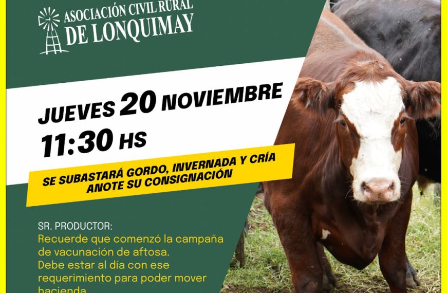 Remate feria Daniel Blanco en Lonquimay el 20 de noviembre 2025 con gordo, invernada y cría.