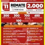 Ganadera Pampeana | General Acha | Próximo Remate Feria el martes 11 de noviembre de 2025